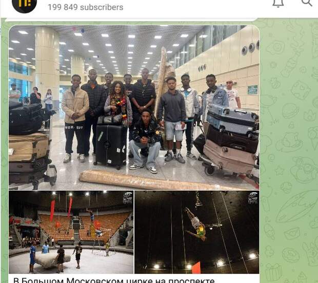 Цирк — это жестокость: гимнаст в реанимации после падения с 7 метров