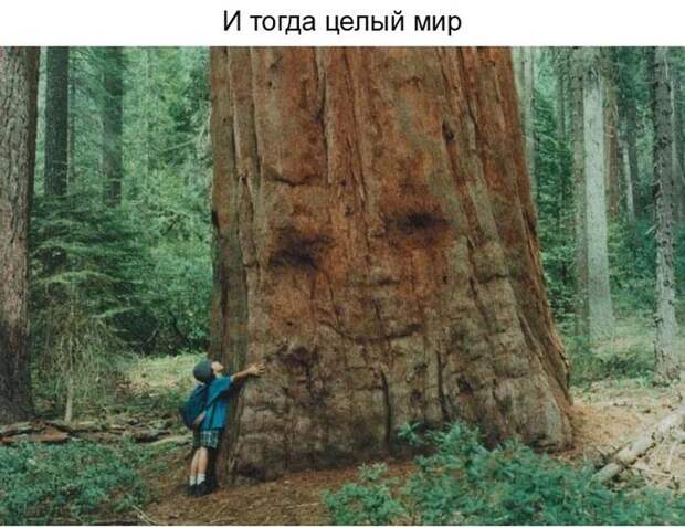 О ценности улыбки в нашей жизни (23 фото) О ценности улыбки в нашей жизни (23 фото)