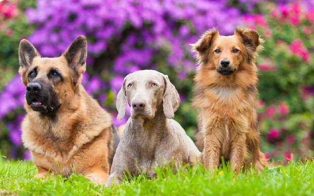 Егор Яковлев и Никита Нестеров стали амбассадорами благотворительной акции в Челябинске