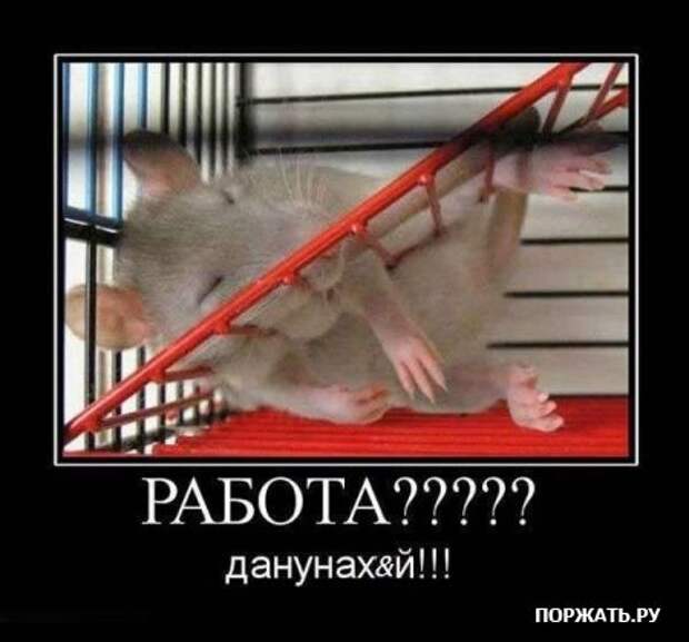 Демотиваторы (22 штуки)