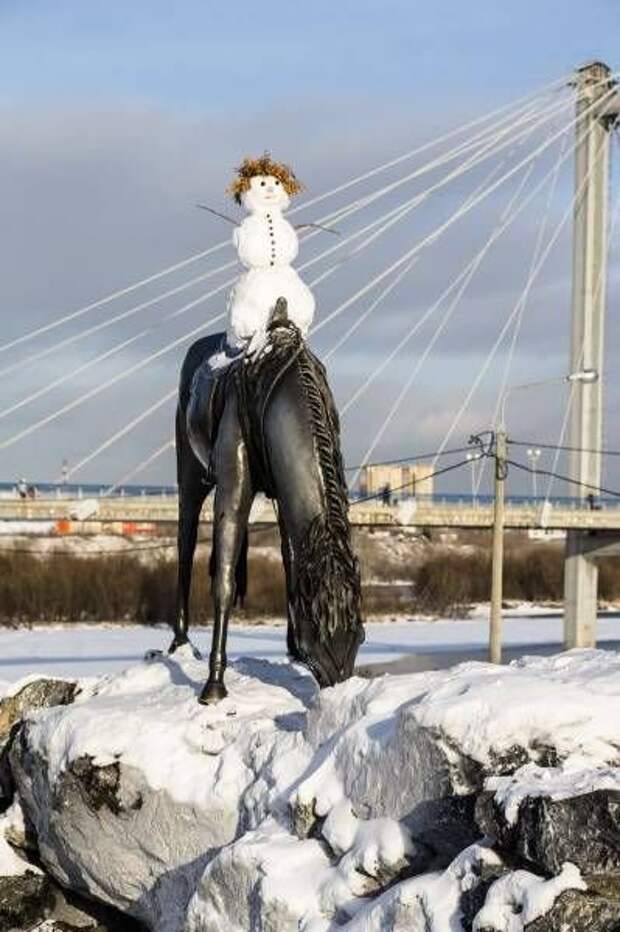 Картинки, юмор, приколы
