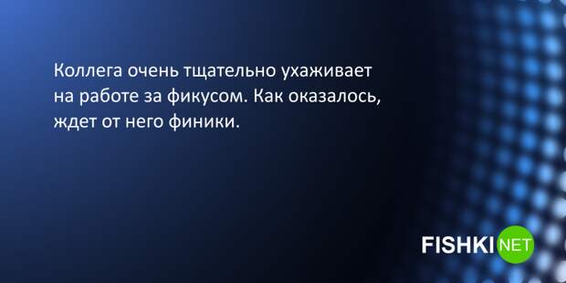 8. Садовод от бога 8. Садовод от бога подслушано, провал, юмор