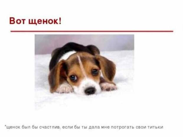 Почему девушкам следует разрешать их щупать