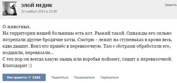 Смешные врачебные истории