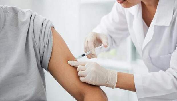 Клещевой энцефалит: почему 2 недели — это критический срок до выезда на природу