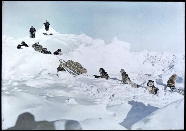 1915 Restored color photograph of members of the Antarctic Shackleton Expedition and their dogs.jpg 1915 Restored color photograph of members of the Antarctic Shackleton Expedition and their dogs.jpg