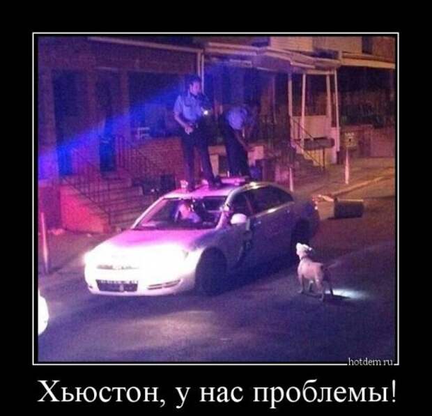 Прикольные демотиваторы (12 шт) Прикольные демотиваторы (12 шт)
