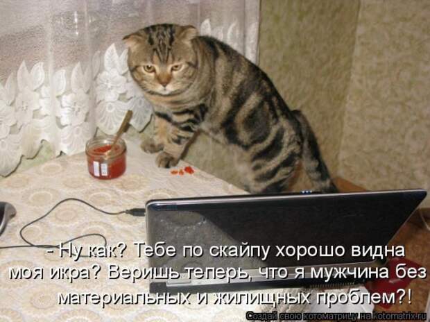 Мысли вслух :)