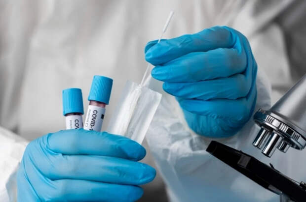 Врач Коновалов рассказал, как смертельный вирус Нипах может попасть в РФ