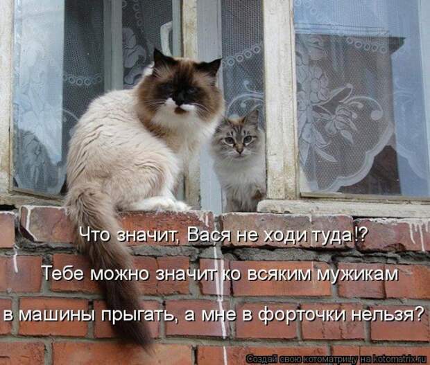 Мысли вслух :)