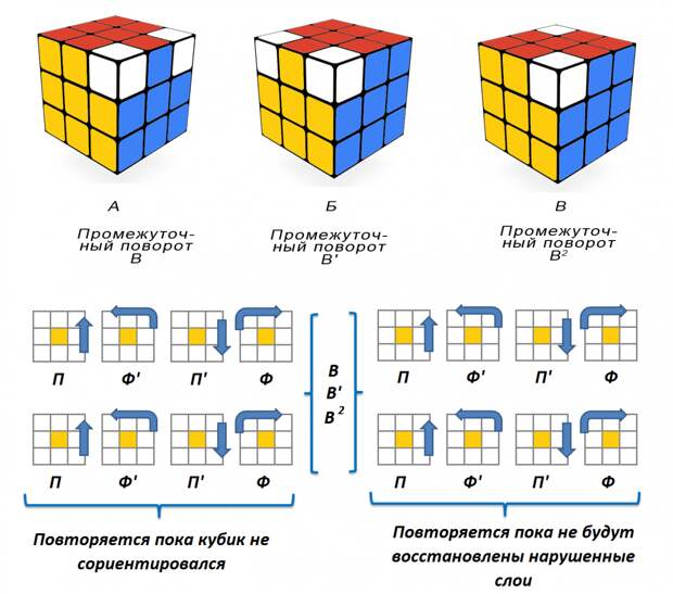 Процессы выполняемые на седьмом этапе /©NakedScience