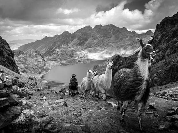 NatGeoMay23 NatGeoMay23 Обои для рабочего стола от National Geographic за май 2013