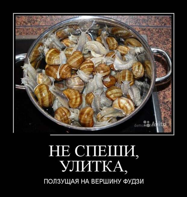 Демотиваторы №1113 (30 фото)