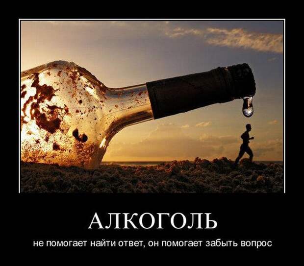 Демотиваторы (30 фото)