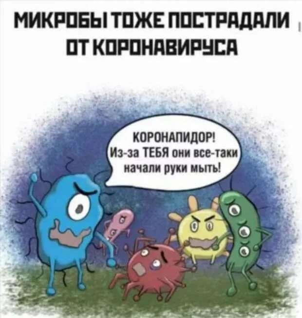 Демотиваторы про коронавирус с надписями. Подборка chert-poberi-dem-koronavirus-chert-poberi-dem-koronavirus-08320614122020-4 картинка chert-poberi-dem-koronavirus-08320614122020-4