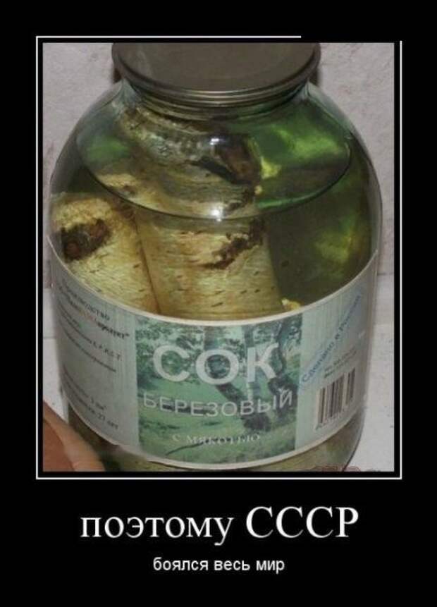 Поэтому СССР боялся весь мир демотиваторы, картинки, юмор