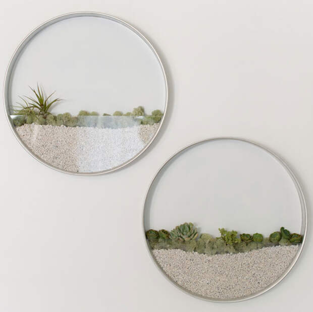 vertical-garden-air-plants-kim-fisher-3