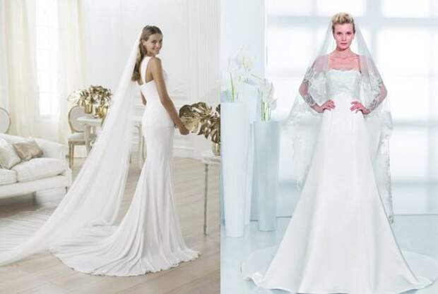 Colet Wedding Dresses With Veil