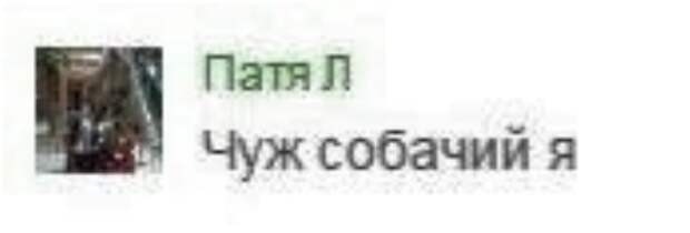 Премудрые советы и высказывания от "интеллектуалов" из соцсетей Премудрые советы и высказывания от "интеллектуалов" из соцсетей
