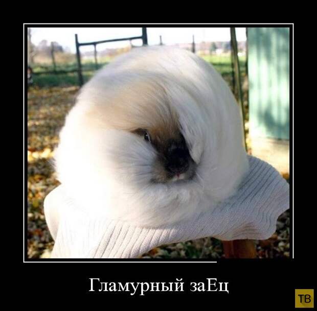 Подборка демотиваторов 30. 10. 2014 (32 фото)