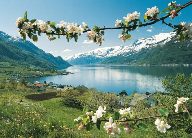 fjords18 Самые красивые фьорды Норвегии
