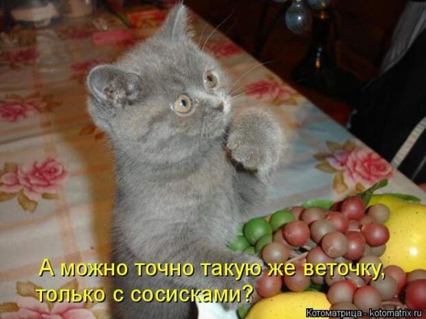 Мысли вслух :) №150118