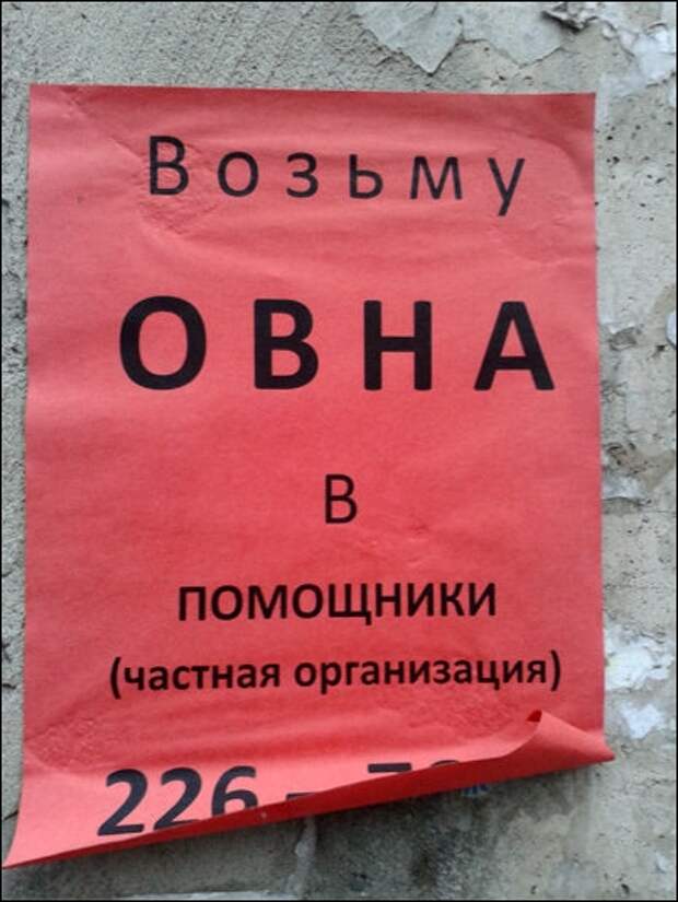 смешные надписи, объявления, маразмы