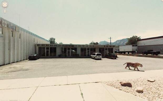 Google street view (12)
