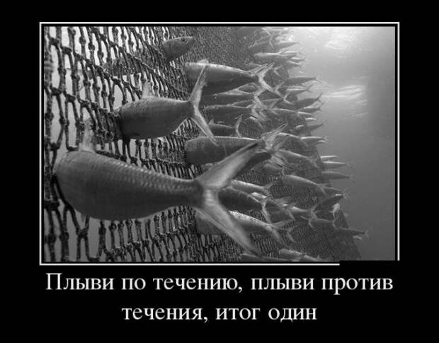 Демотиваторы (30 фото)