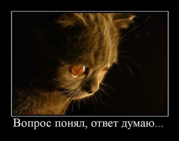 Демотиваторы (30 фото)