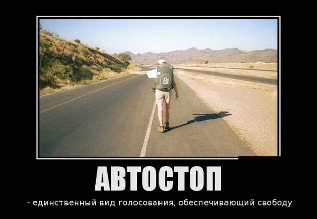 Пятничная подборка демотиваторов  демотиватор, юмор