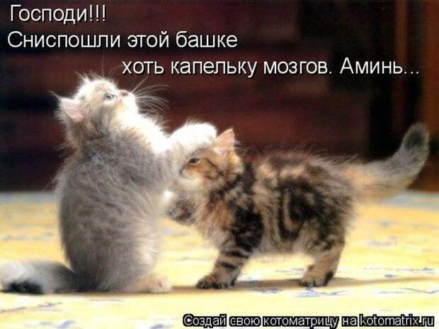 Мысли вслух :)