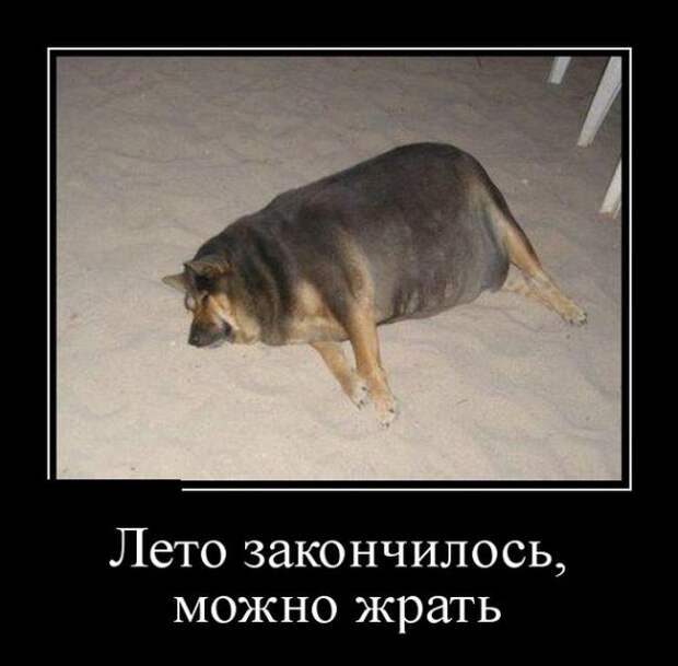 Демотиваторы (30 фото)