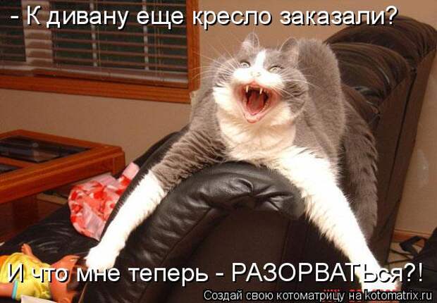 Котоматрица: - К дивану еще кресло заказали? И что мне теперь - РАЗОРВАТЬся?!