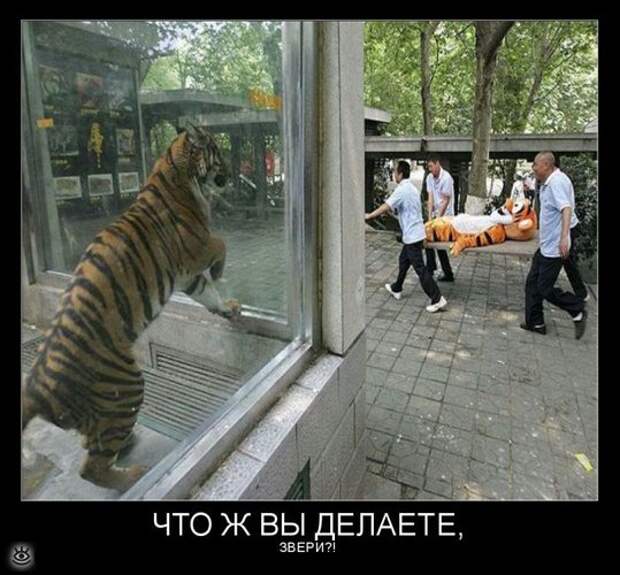 У каждого своя Олимпиада 28