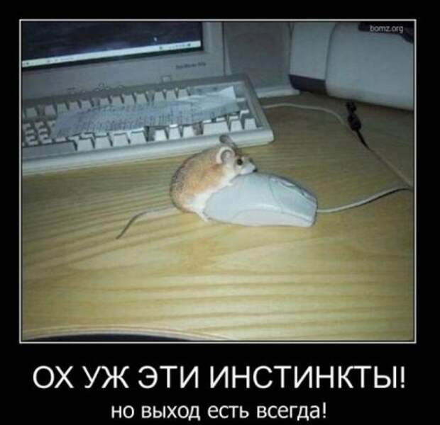 Демотиваторы, юмор и сатира, не смешных у нас не бывает.