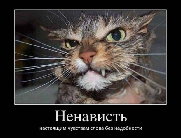 Демотиваторы (30 фото)