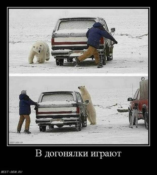 Демотиваторы это полезные приколы.