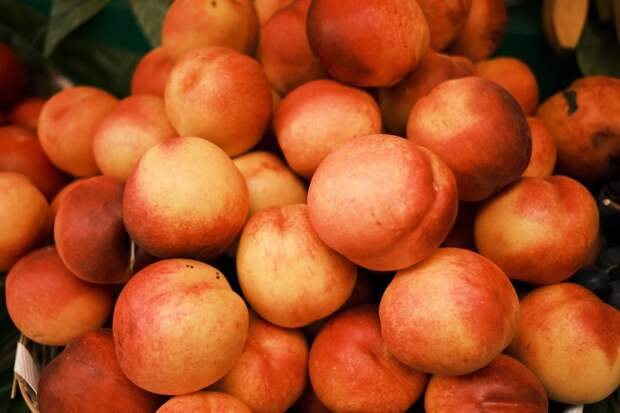 В России сезонный рост цен на фрукты составил 2-5%