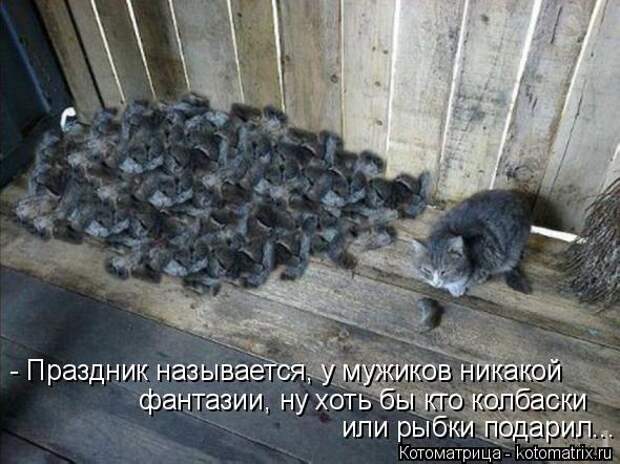 Котоматрица: - Праздник называется, у мужиков никакой   фантазии, ну хоть бы кто колбаски  или рыбки подарил...