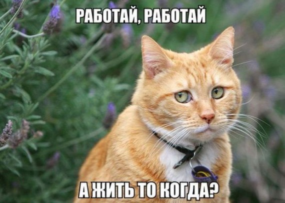 Подборка фотоприколов #356