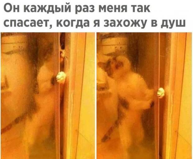 Мне кажется или уже пора