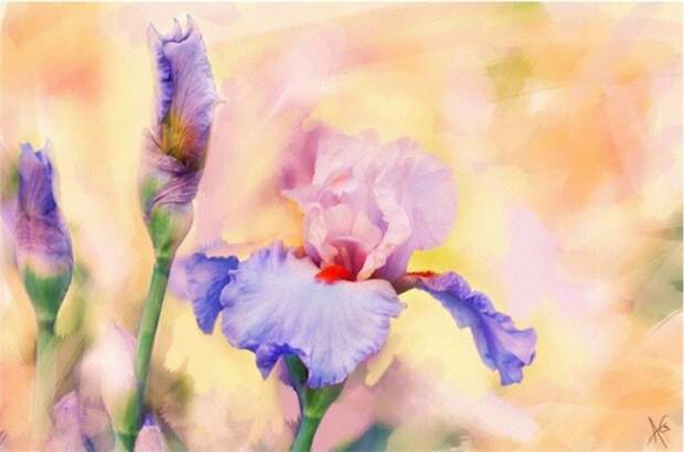 Alberto_Guillen_Flower_Paintings_1 (670x444, 219Kb)