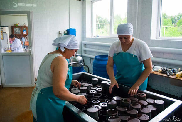 Как делают настоящий украинский сыр