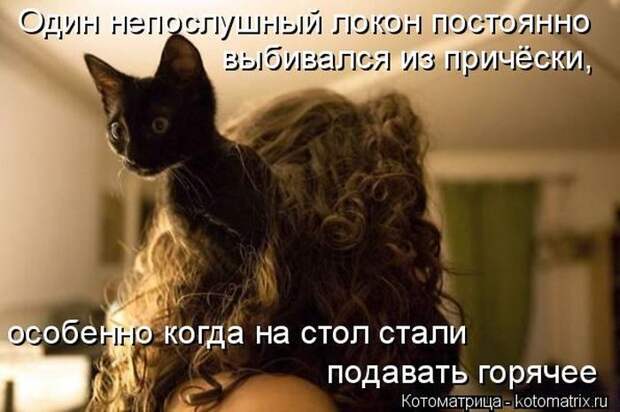 Лучшие котоматрицы недели