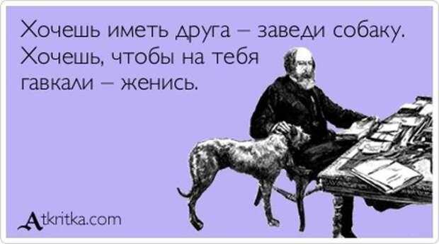 Веселые Аткрытки с текстом Веселые Аткрытки с текстом