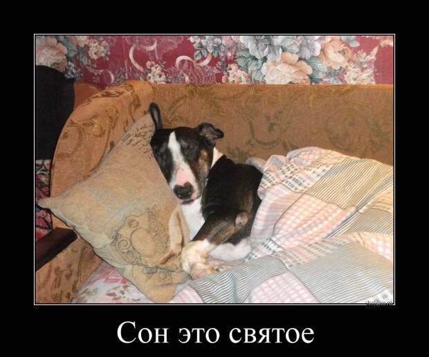Демотиваторы демотиваторы, прикол, смех, юмор