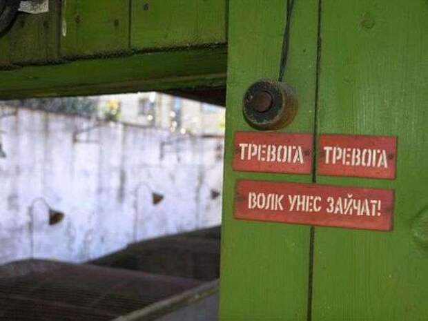 Трудовые будни работников ЖКХ Трудовые будни работников ЖКХ
