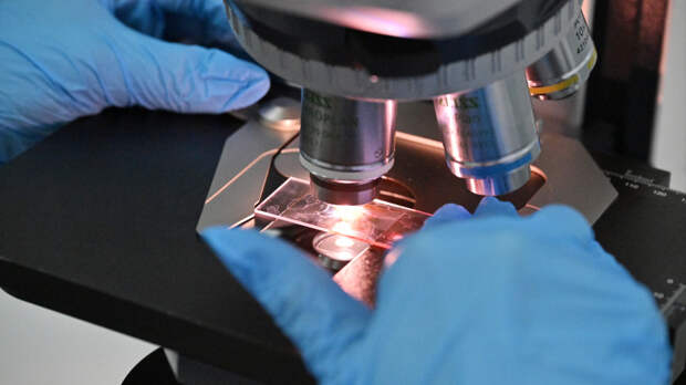 Какао, биоэкопоселения и энергетика: новые возможности нацпроекта «Биоэкономика»