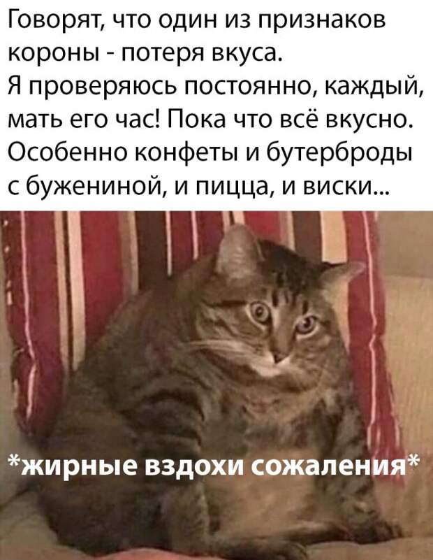 www.vsyako.net